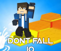 Don't Fall io